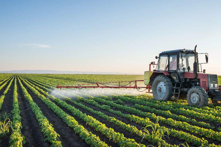 Agrobusiness